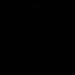 Meet your Posher, Aries